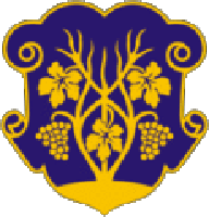 изображение герба города Ужгород